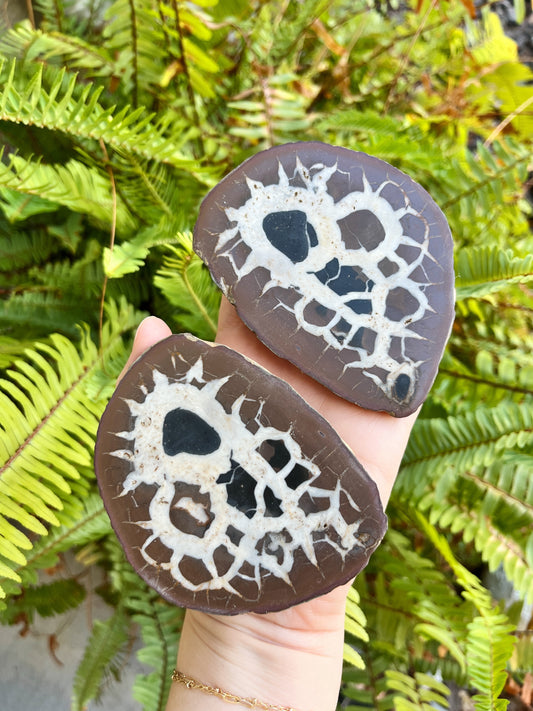 Septarian Nodule Pair - Large