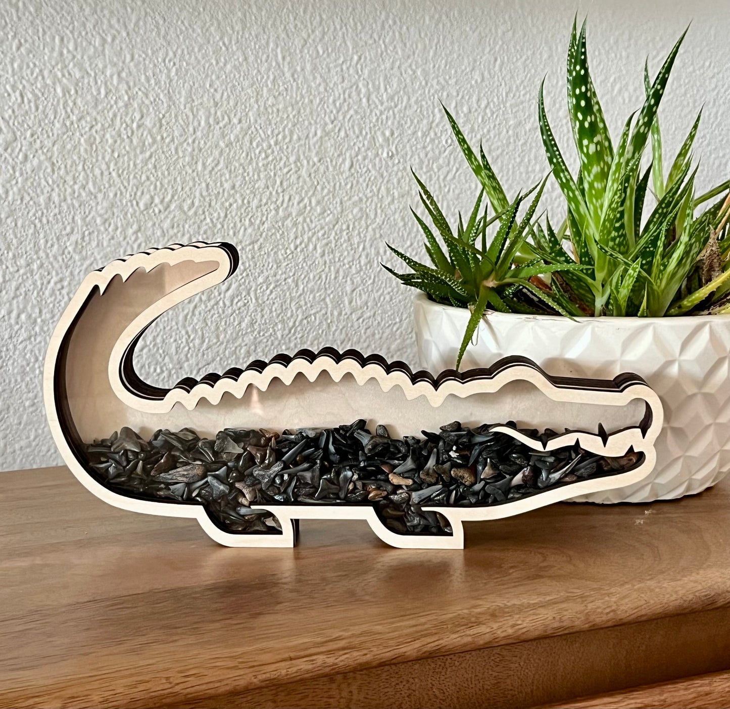 Chonky Gator - Wood Finish - Shark Tooth Bank