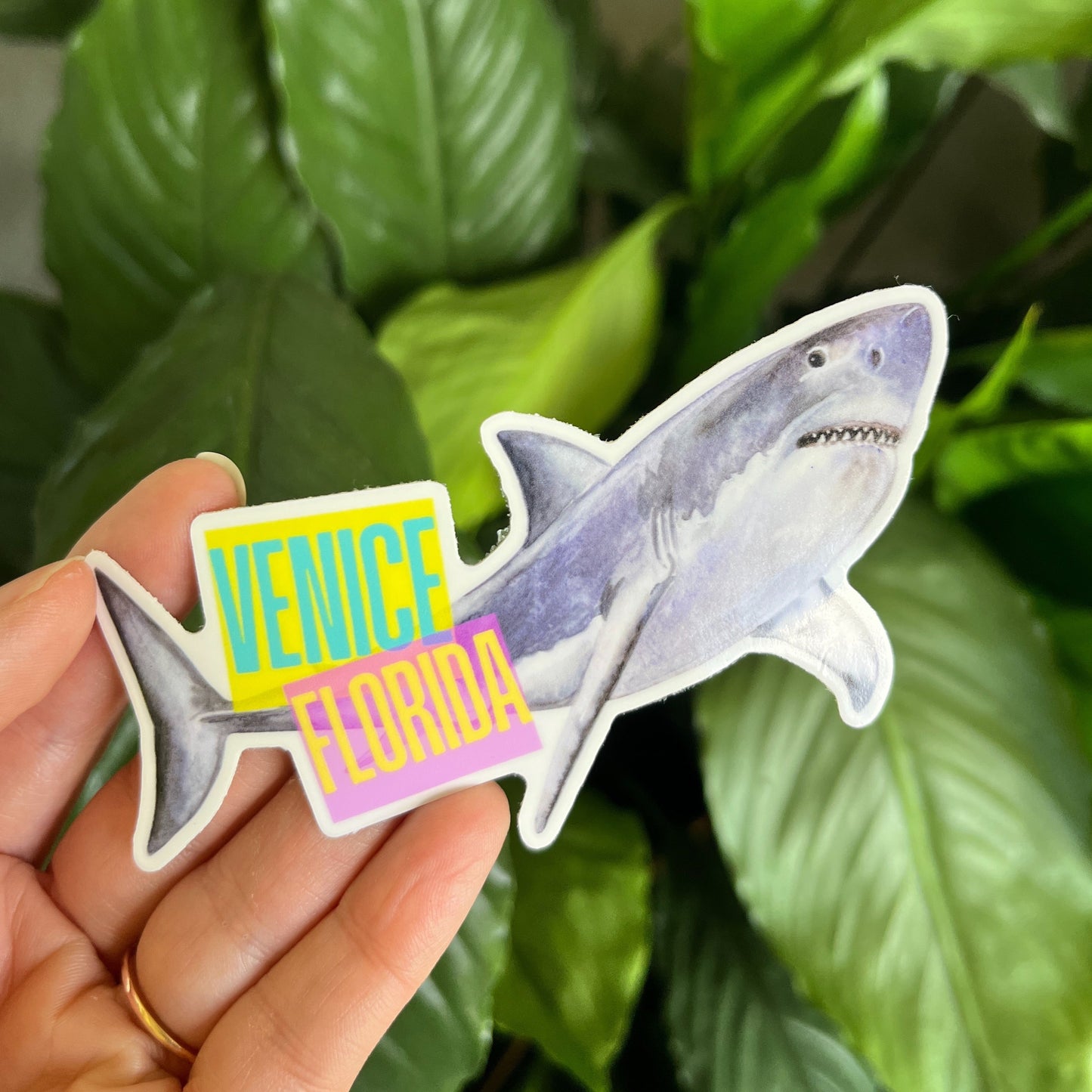 Shark Venice Sticker