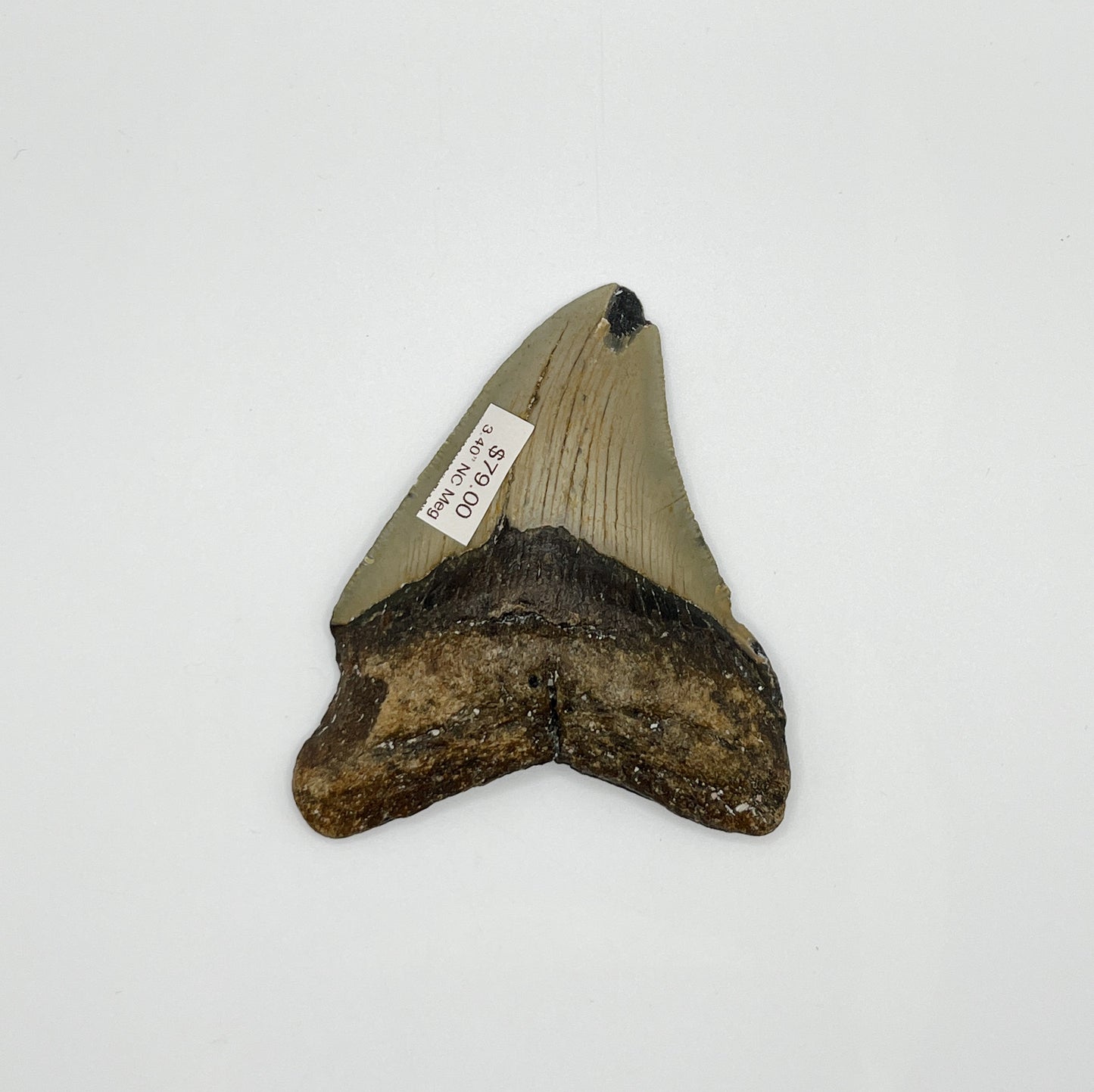3.40” NC Meg