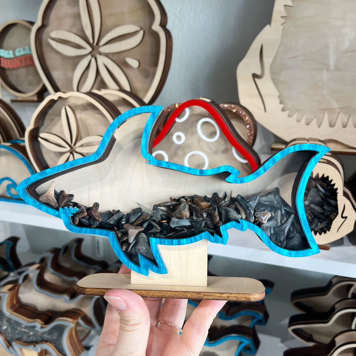 Classic Shark - Ocean Blue Acrylic - Shark Tooth Bank