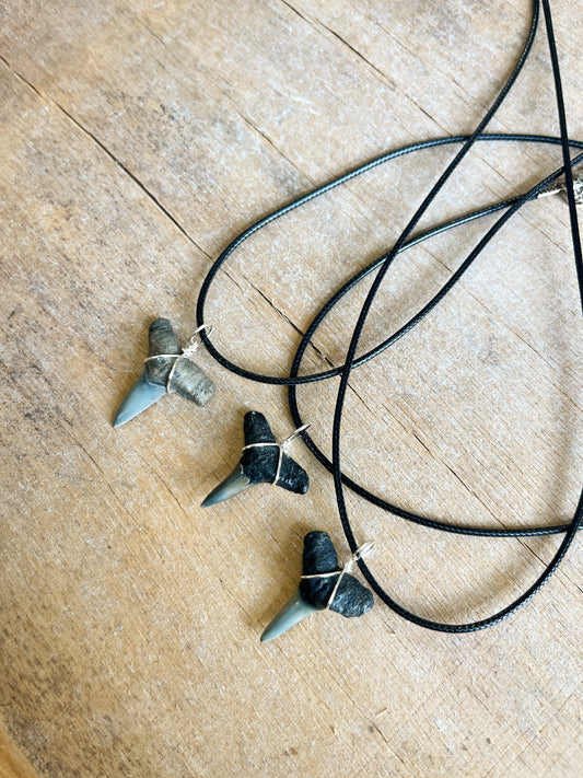 Black Cord Basic Shark Tooth Necklace