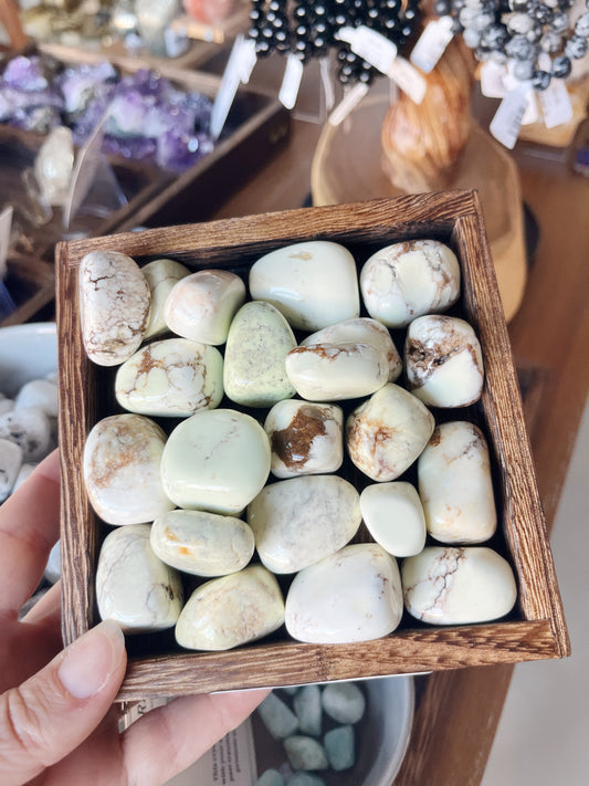 Lemon Chrysoprase - Tumbled - (Each Piece)