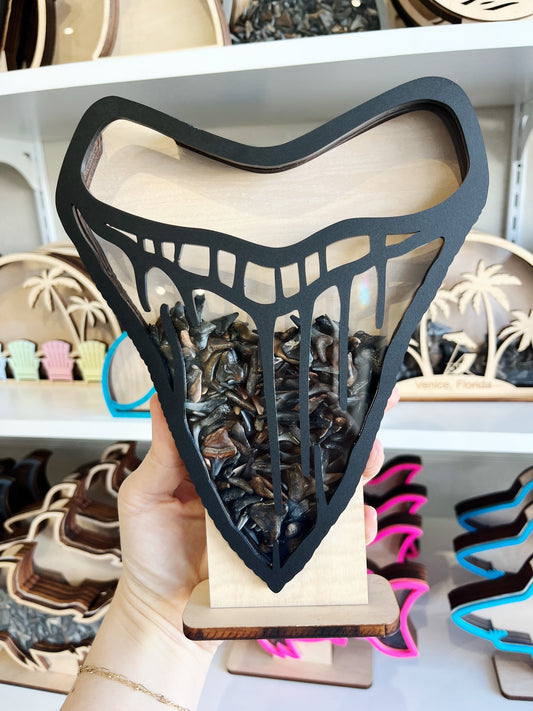 Shark Tooth Bank: Classic Meg Tooth Shape - Black Acrylic