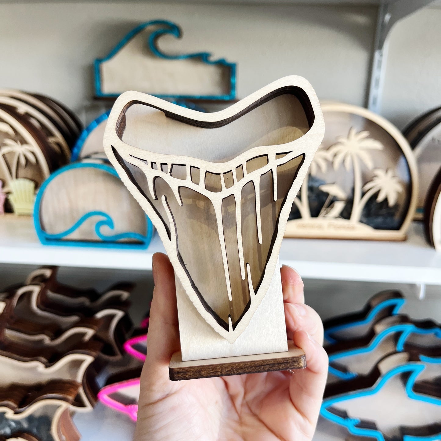 Mini Meg Tooth - Wood Finish - Shark Tooth Bank