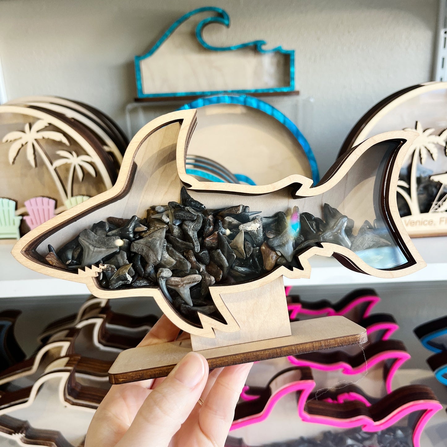 Classic Shark - Wood Finish - Shark Tooth Bank