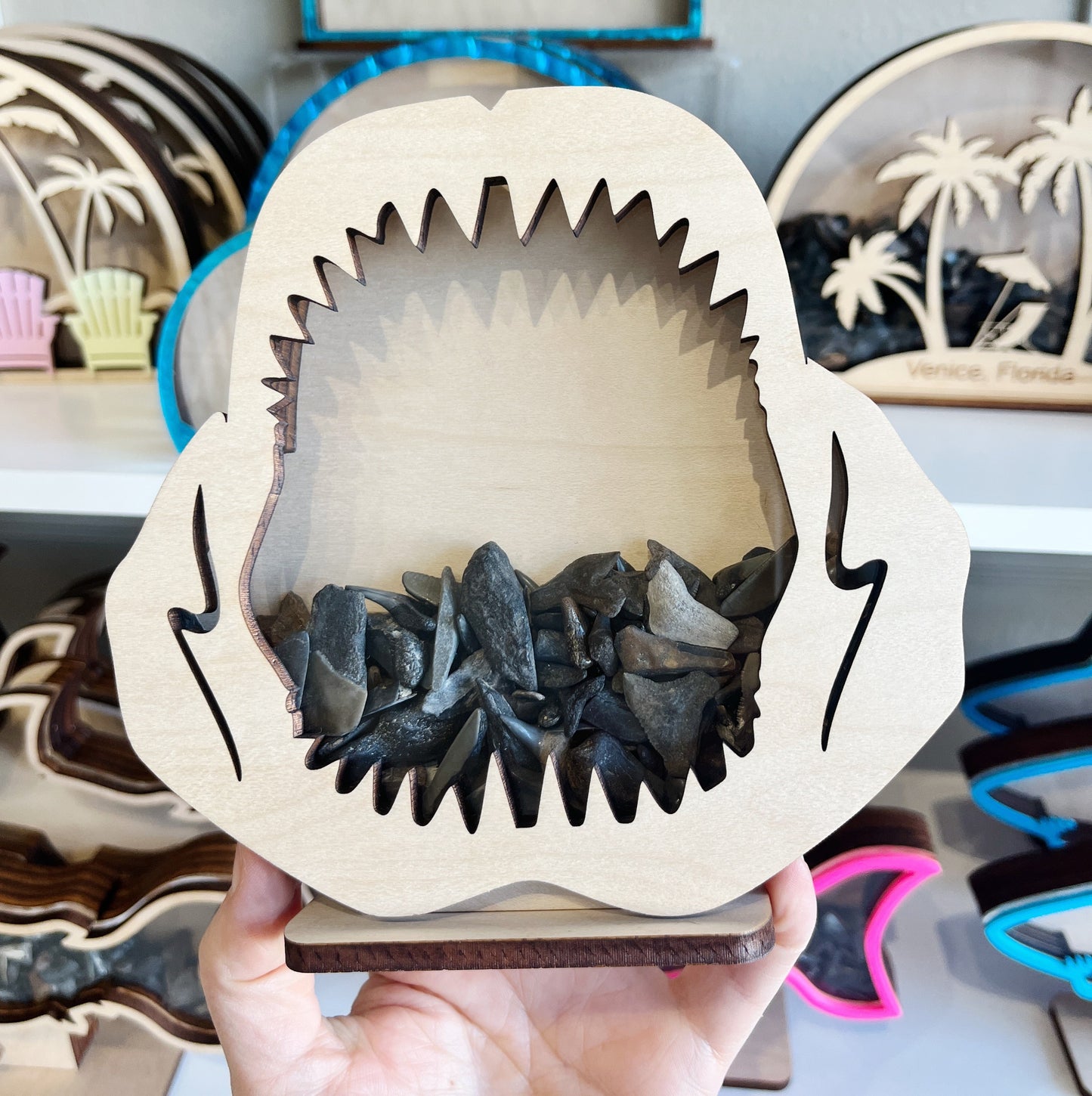 Classic Shark Jaw - Wood Finish - Shark Tooth Bank