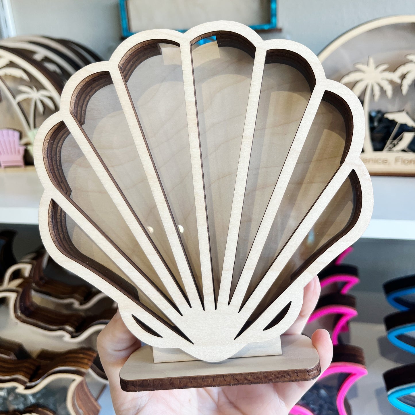 Classic Seashell - Wood Finish - Shark Tooth Bank