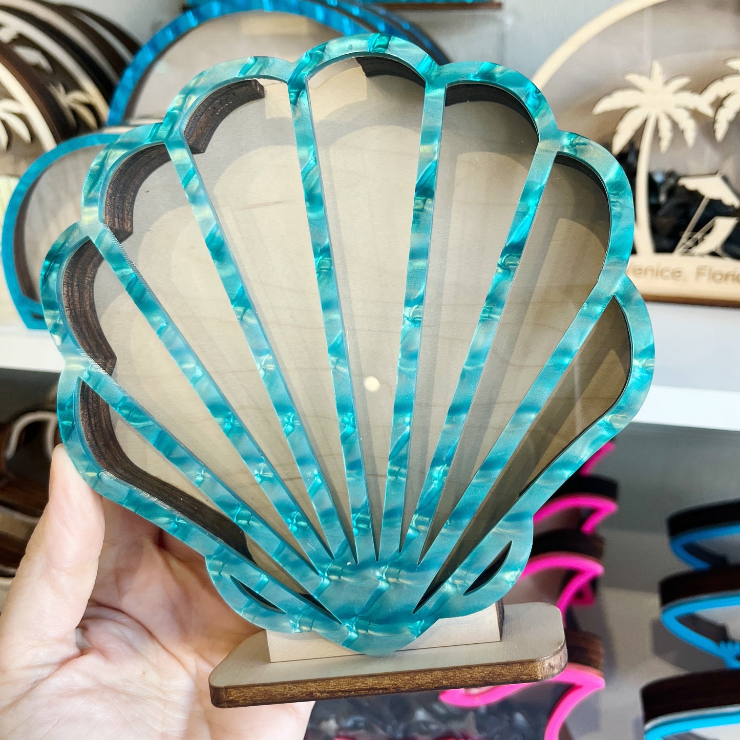 Classic Seashell - Teal Acrylic - Shark Tooth Bank