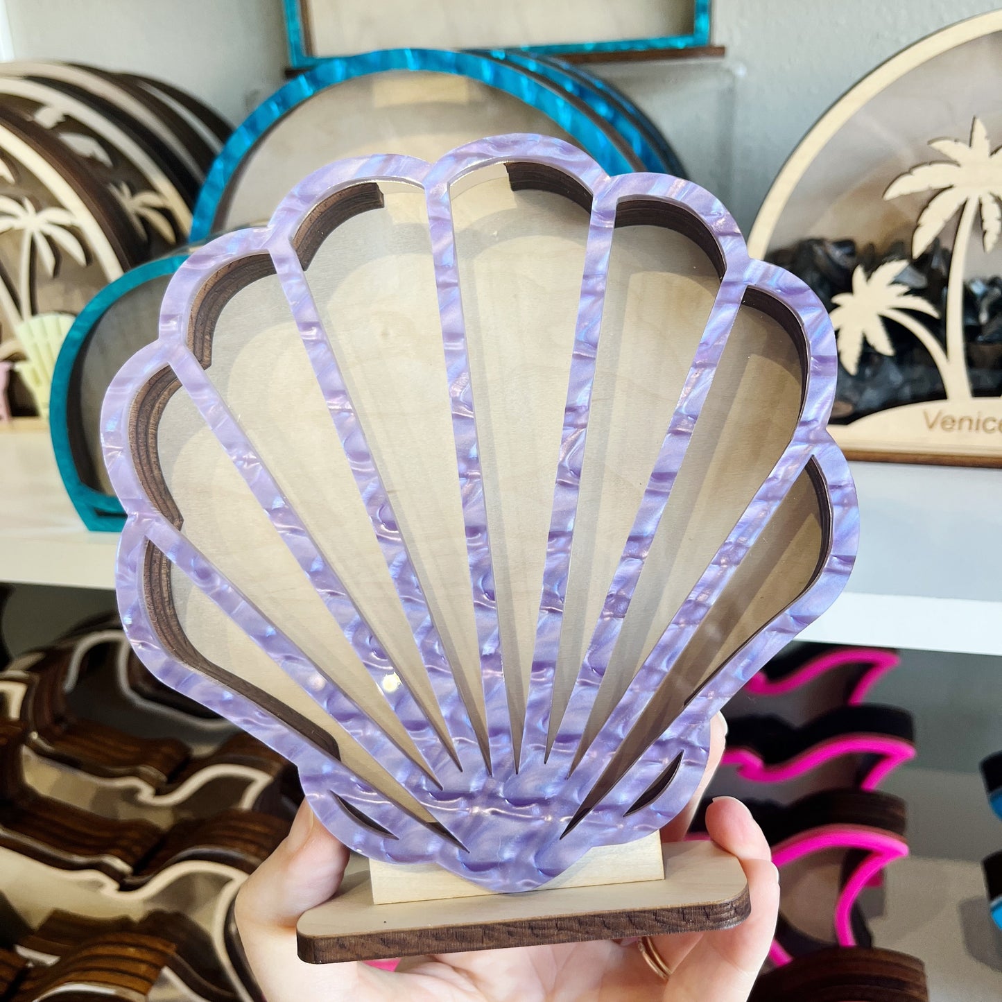 Classic Seashell - Purple Acrylic - Shark Tooth Bank
