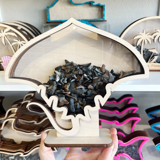 Classic Stingray Shape - Wood Finish - Shark Tooth Bank