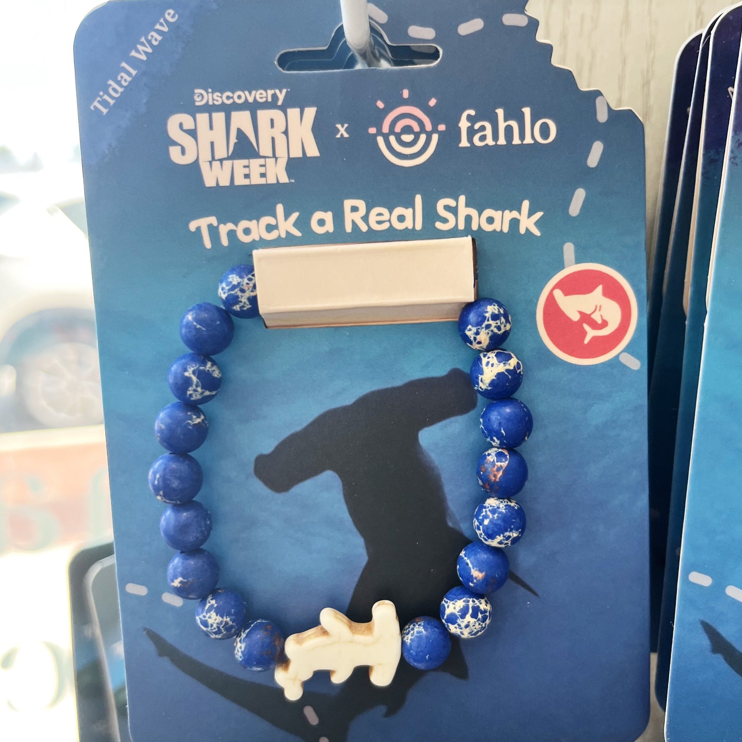 Special Edition Shark Week - Shark Bracelets