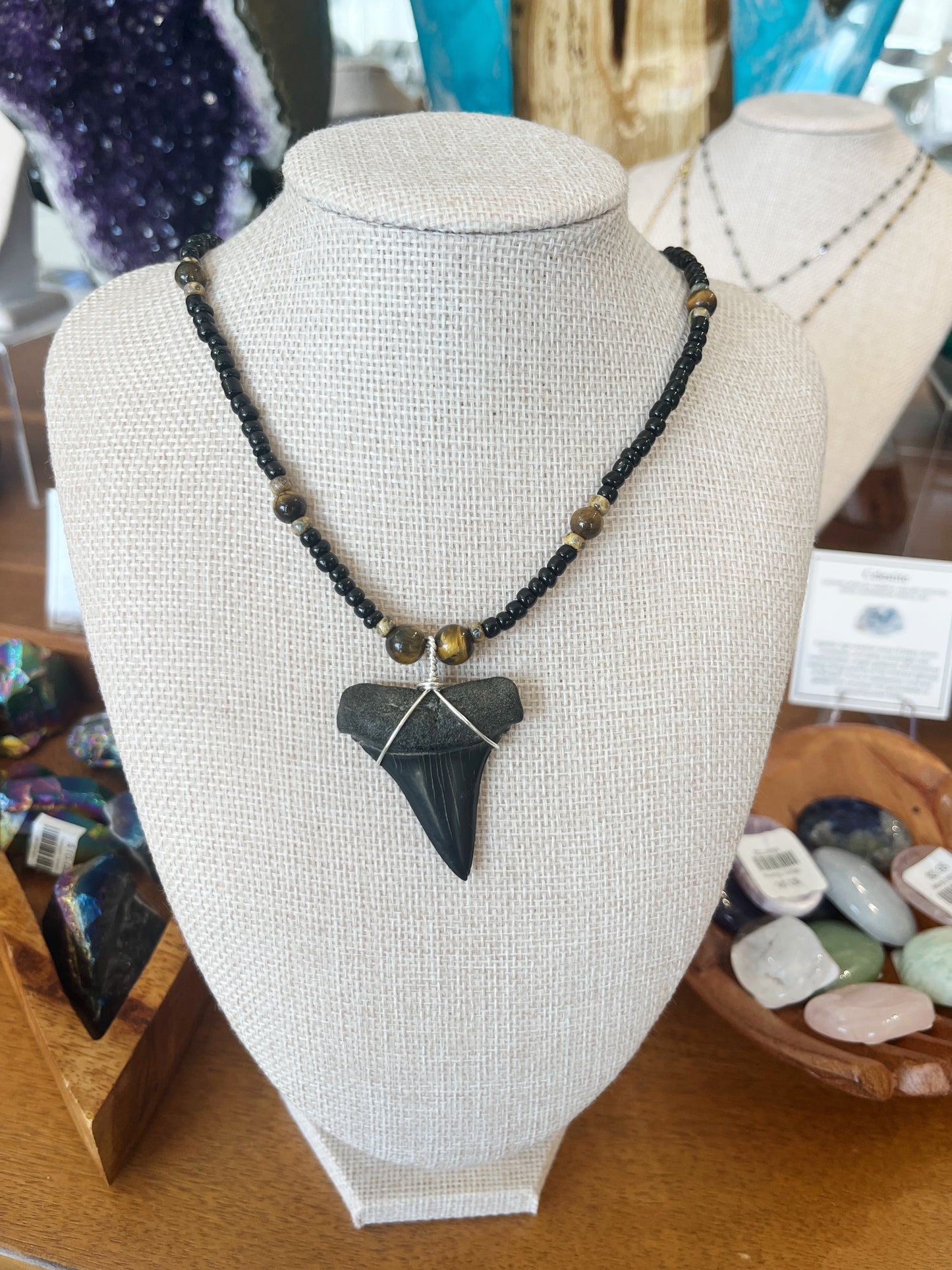Shark Tooth Necklace w/ Beads