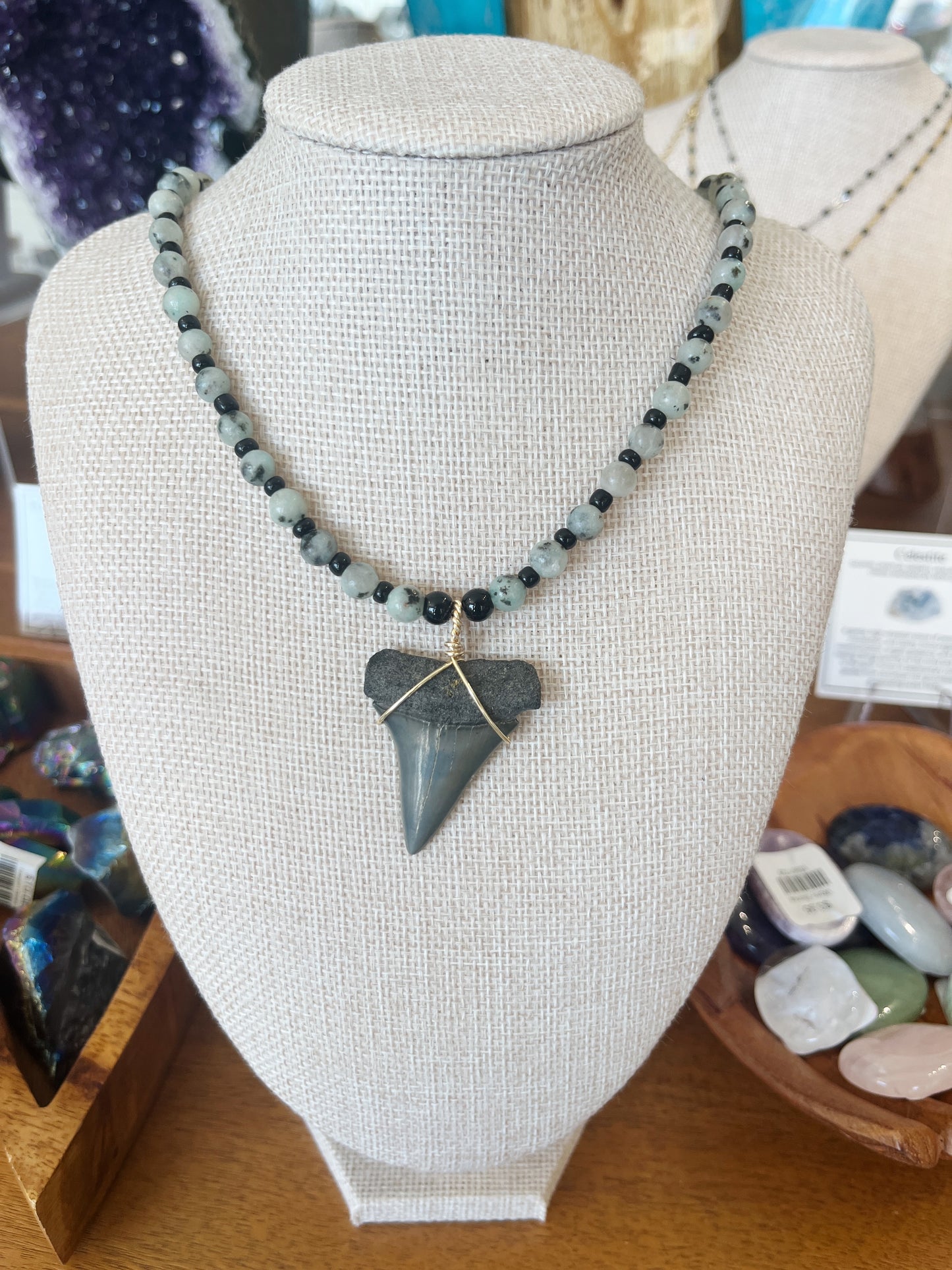 Shark Tooth Necklace w/ Beads
