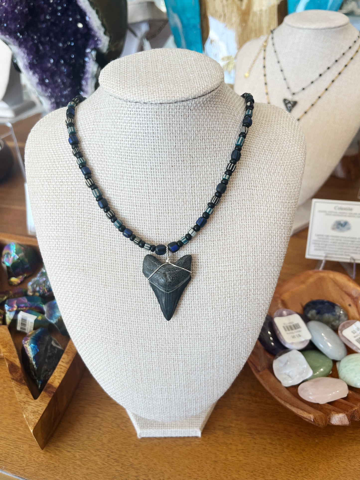 Shark Tooth Necklace w/ Beads