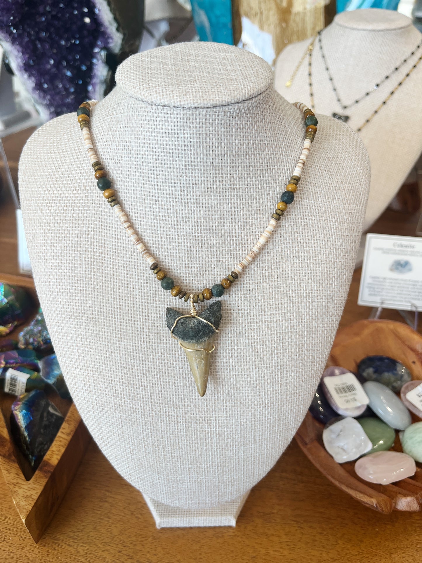 Shark Tooth Necklace w/ Beads