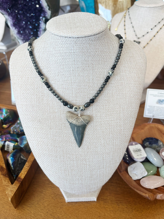 Shark Tooth Necklace w/ Beads