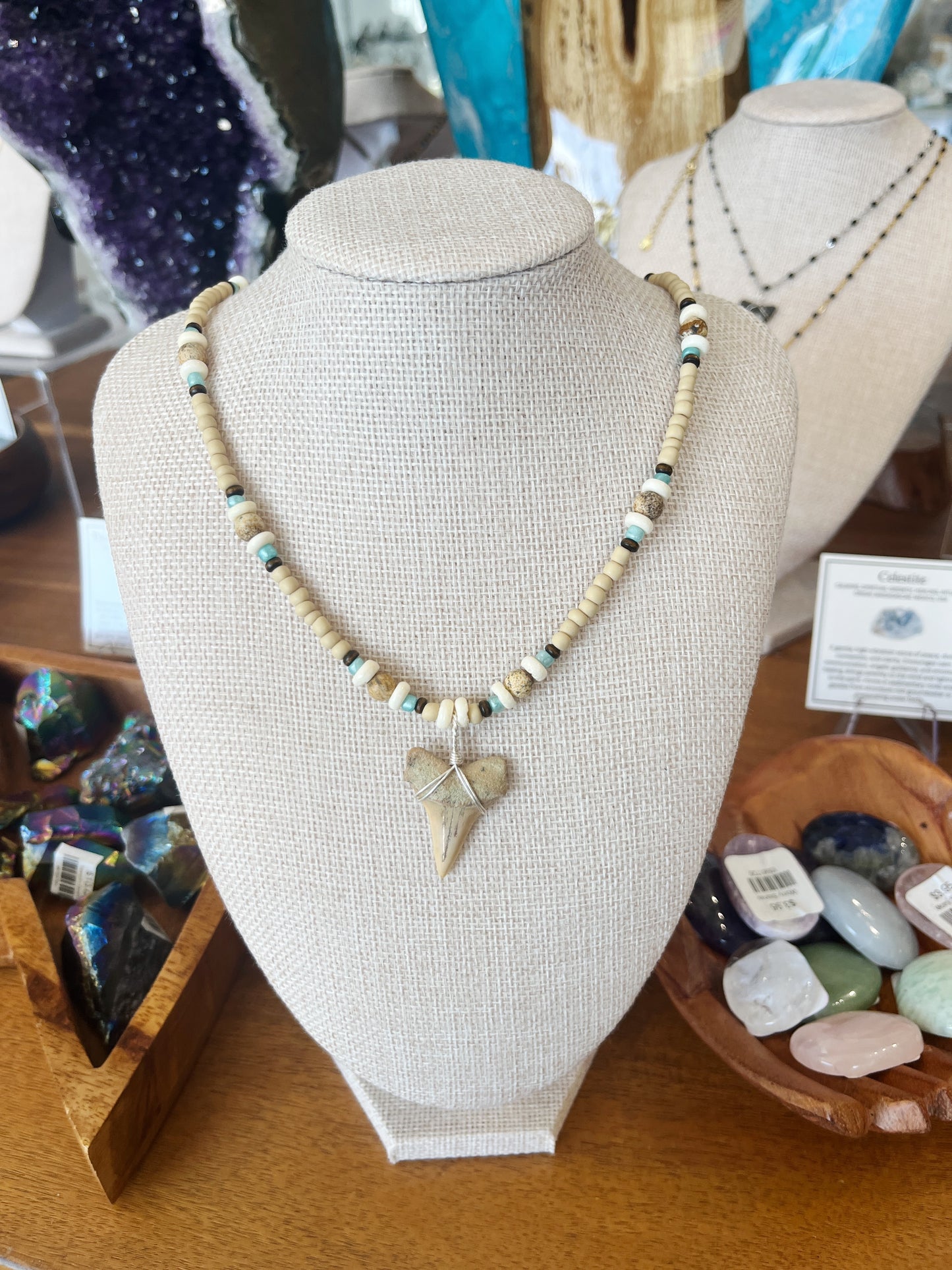 Shark Tooth Necklace w/ Beads