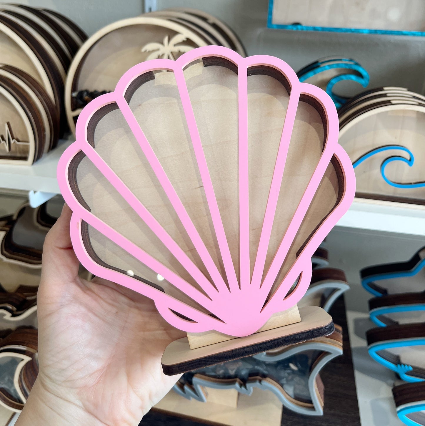 Classic Seashell - Pink Acrylic - Shark Tooth Bank