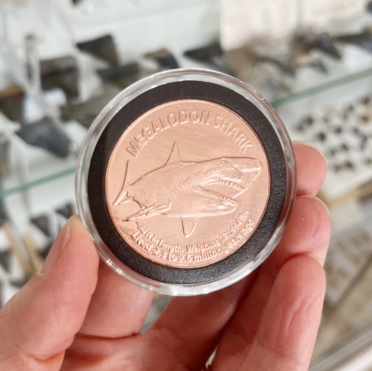 Copper Megalodon Coin