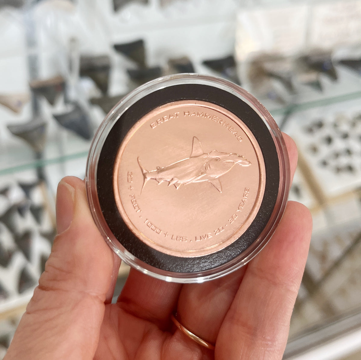 Copper Hammerhead Coin