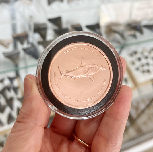 Copper Hammerhead Coin