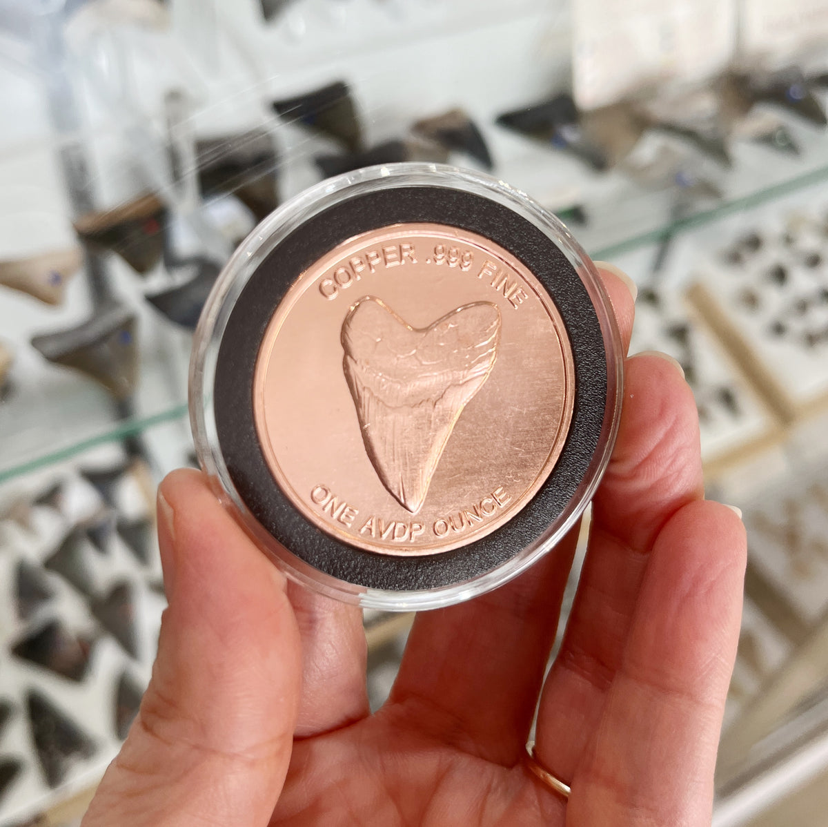 Copper Megalodon Coin