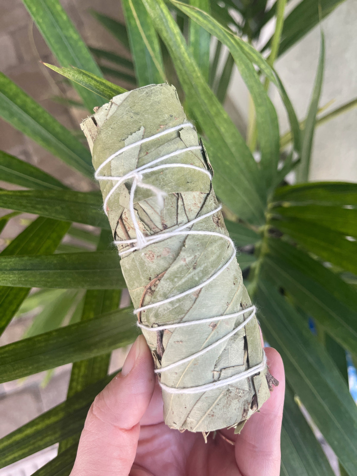 Sage - Sustainably & Ethically Sourced