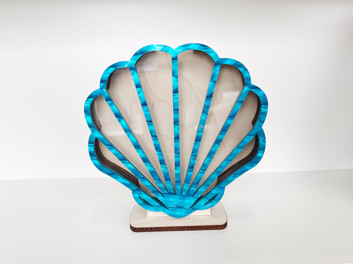 Shark Tooth Bank: Classic Sea Shell - Blue Acrylic