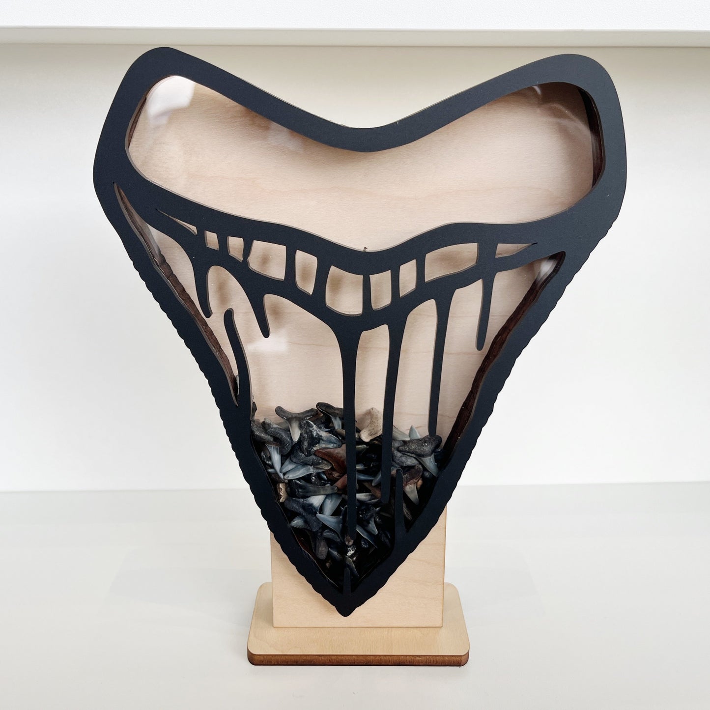 Shark Tooth Bank: Classic Meg Tooth Shape - Black Acrylic