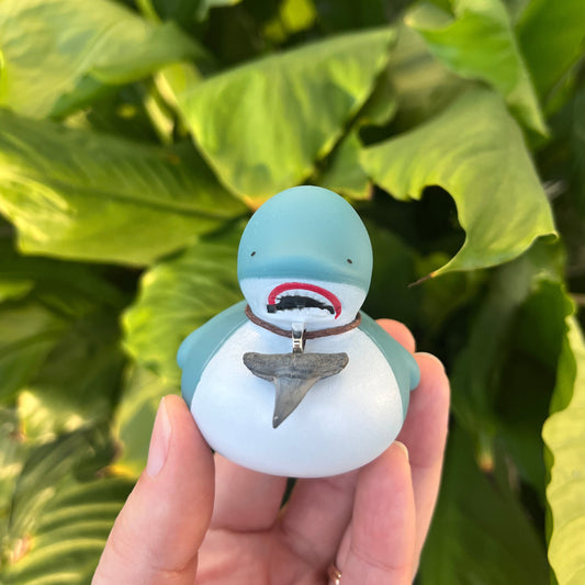 New Shark Novelty Ducky - w/ cord Shark Tooth Necklace