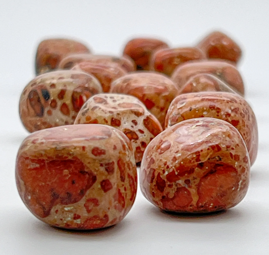 Asteroid Jasper - Tumbled - (Each Piece)